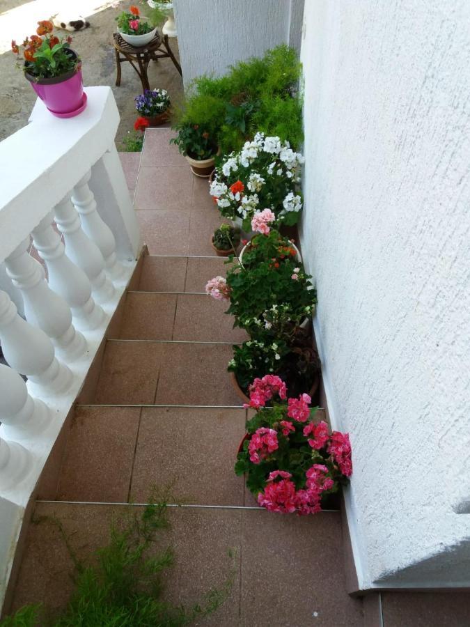 Apartman Sunce Raslina Экстерьер фото