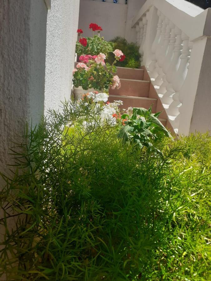 Apartman Sunce Raslina Экстерьер фото