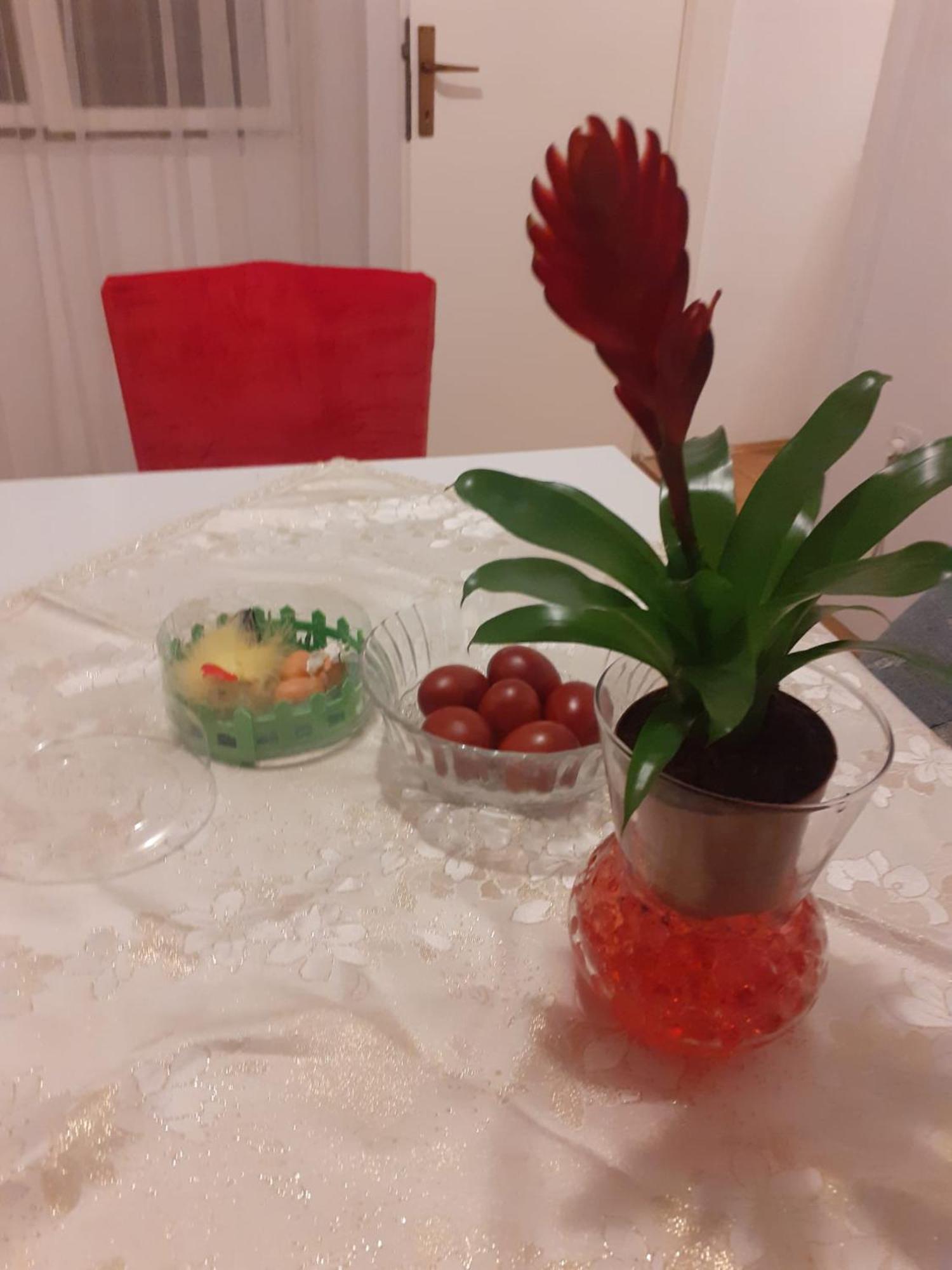 Apartman Sunce Raslina Экстерьер фото