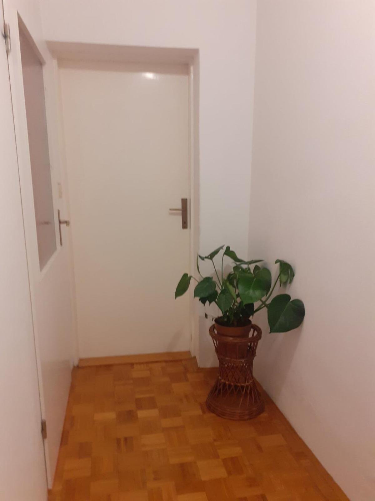 Apartman Sunce Raslina Экстерьер фото